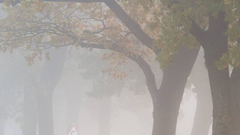 Zum Sonntag: Mein Freund, der November