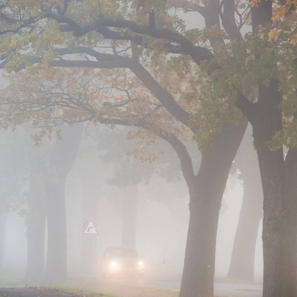 Zum Sonntag: Mein Freund, der November