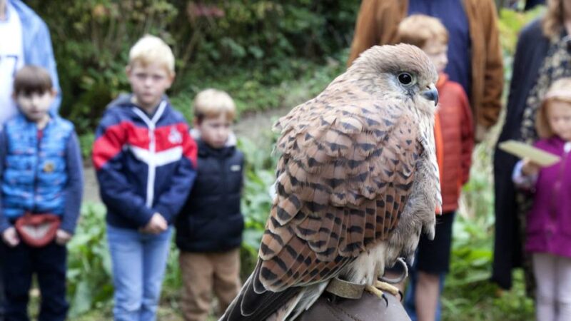 Artenschutz in Wermelskirchen: 50 Jahre Einsatz für den Naturschutz im Bergischen