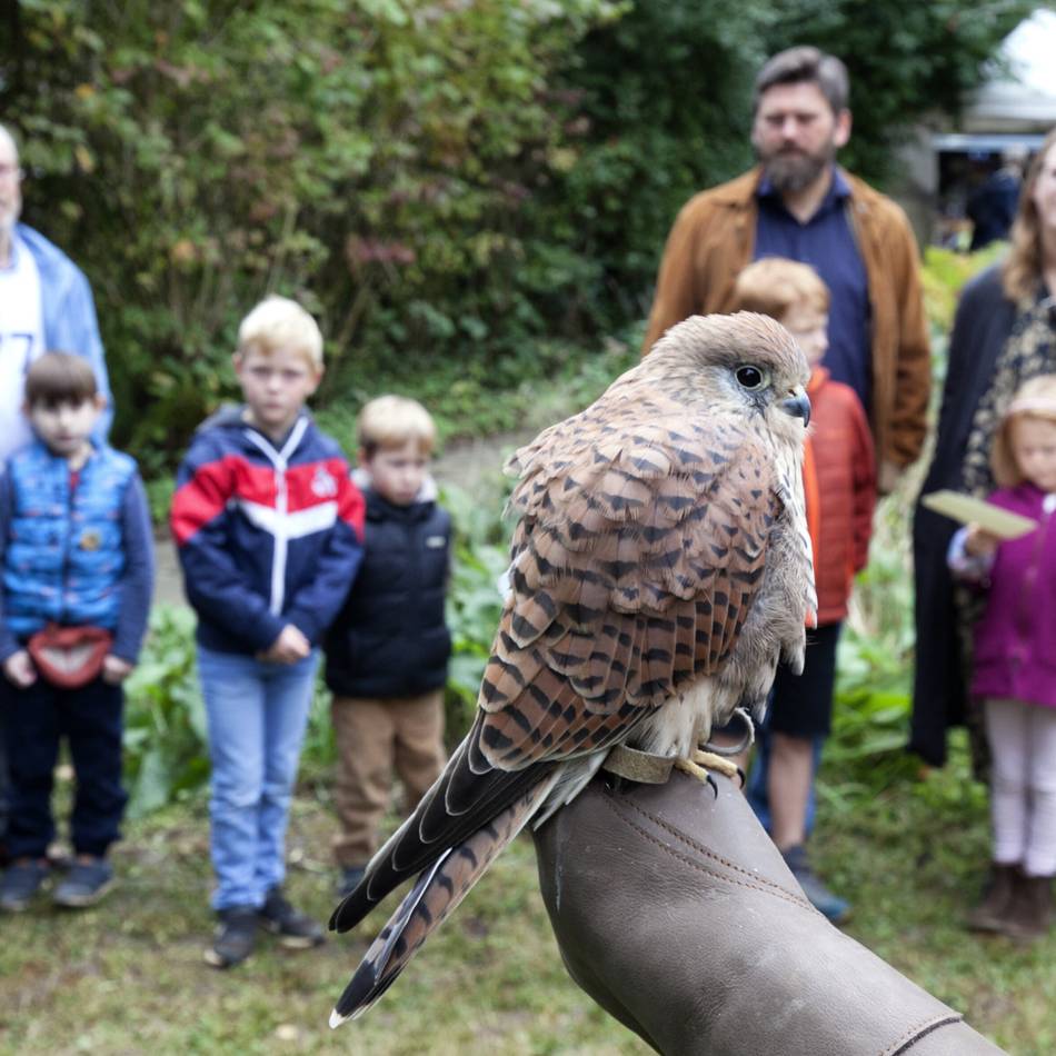 Artenschutz in Wermelskirchen: 50 Jahre Einsatz für den Naturschutz im Bergischen