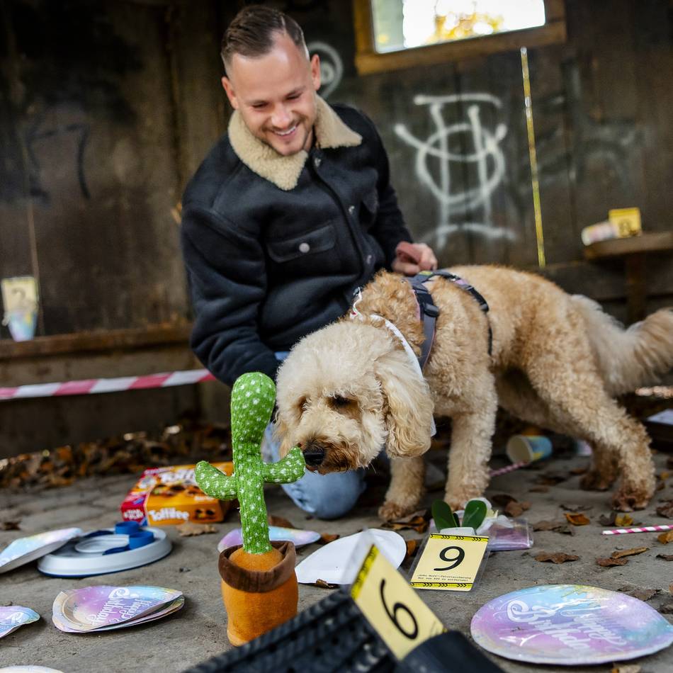 Krimiwanderung mit Hund : Ein Fall für clevere Spürnasen
