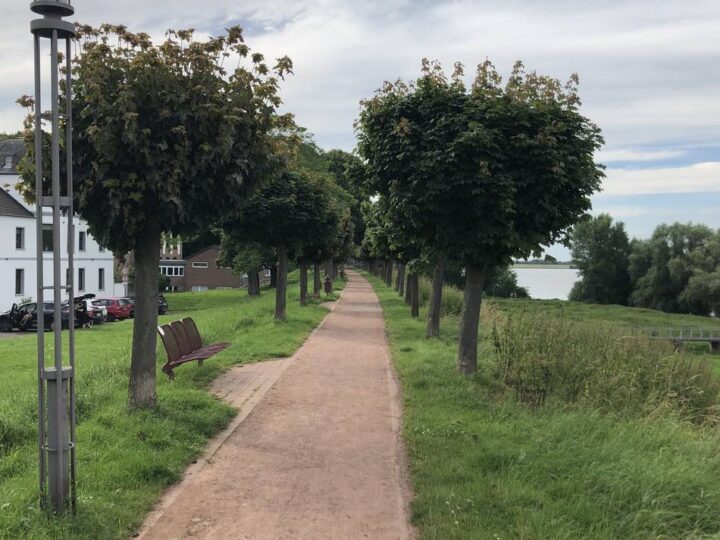 Am 27. November in Rheinberg: Info-Abend zur Deichsanierung von Orsoy bis Baerl