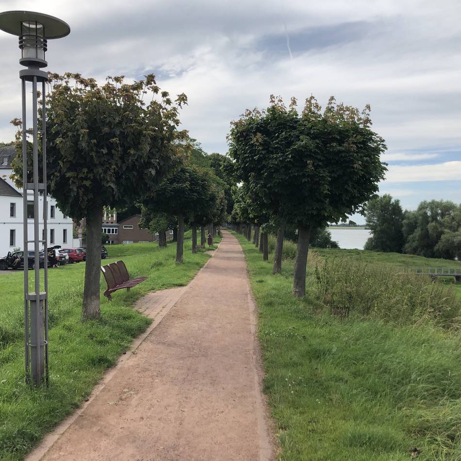 Am 27. November in Rheinberg: Info-Abend zur Deichsanierung von Orsoy bis Baerl