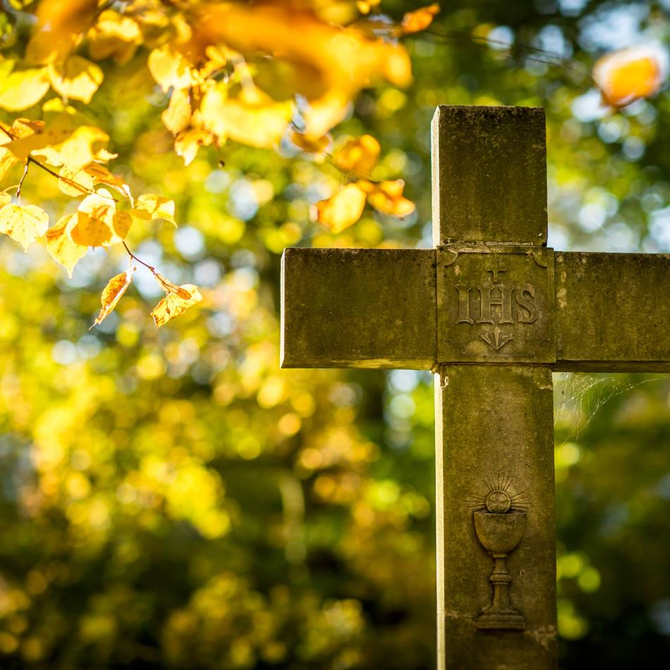 Fünf NRW-Städte im Vergleich: So unterscheiden sich die Friedhofsgebühren in NRW