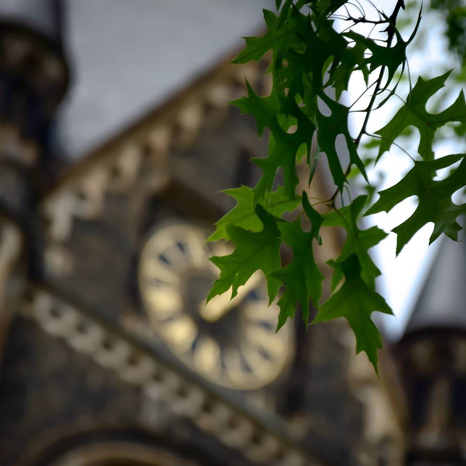 Prozess könnte im Januar starten: Solinger Protestanten sollen mit Nachbarstädten fusionieren