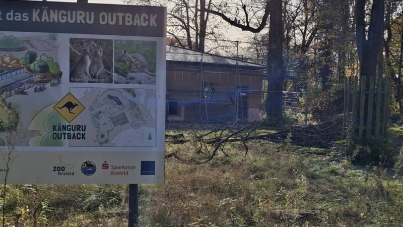 Neues Highlight im Krefelder Zoo: Besucher können sich bald auf spannende Einblicke freuen