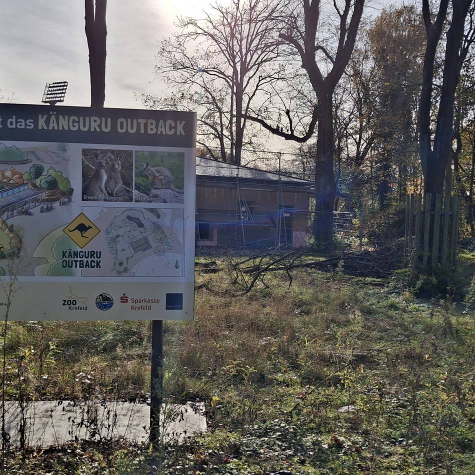 Neues Highlight im Krefelder Zoo: Besucher können sich bald auf spannende Einblicke freuen