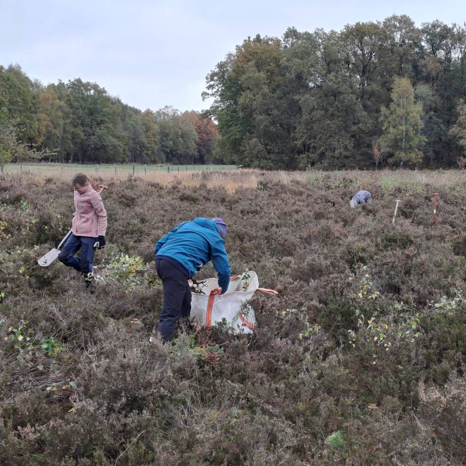 Naturschutzaktion in der Wankumer Heide: Freiwillige helfen bei Pflegeeinsatz für bedrohte Lebensräume