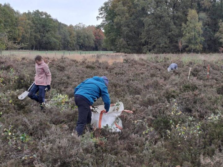 Biologische Station Krickenbecker Seen: Ehrenamtliche pflegen bedrohte Lebensräume beim Mitmachtag
