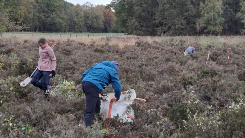 Biologische Station Krickenbecker Seen: Ehrenamtliche pflegen bedrohte Lebensräume beim Mitmachtag