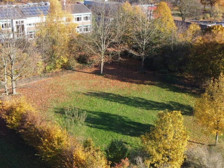 Haustiere in Langenfeld: Hunde können sich auf neuer Auslauffläche austoben