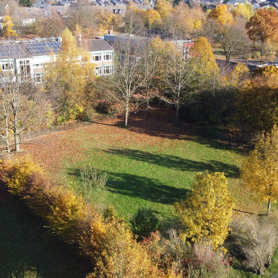 Haustiere in Langenfeld: Hunde können sich auf neuer Auslauffläche austoben