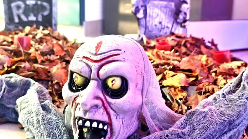 Aktion zu Halloween: „Blutige Nacht“ im Brüggener Hallenbad