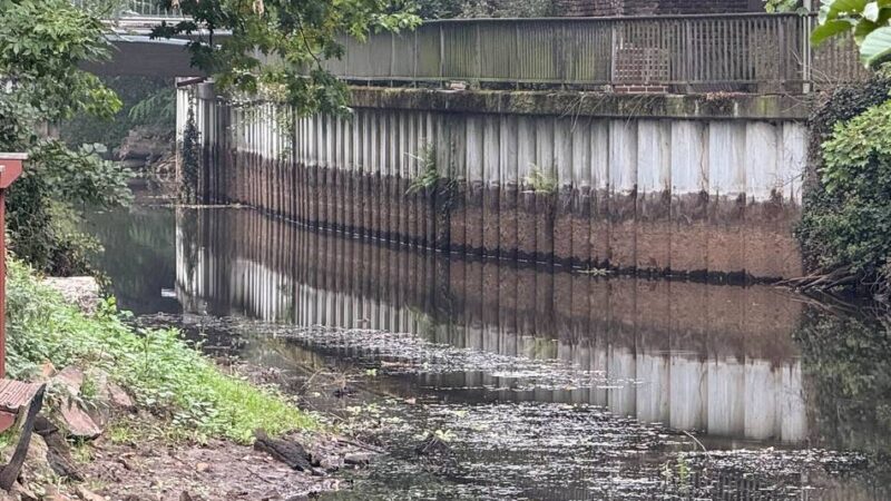 Identitässtiftender Fluss in Grevenbroich: Umbau der Erft – Bürgermeister fordert Diskussion über Folgen fürs Stadtbild