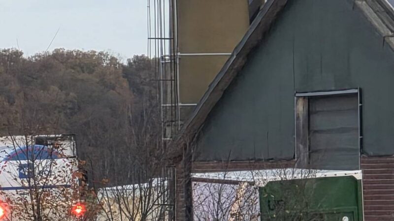 Vogelgrippe breitet sich im Kreis Kleve aus: Geflügelpest – Tausende Puten in Geldern und Kevelaer getötet