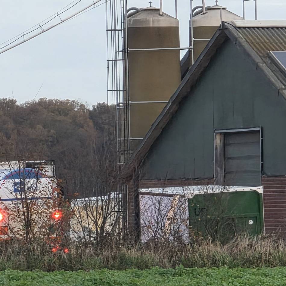 Vogelgrippe breitet sich im Kreis Kleve aus: Geflügelpest – Tausende Puten in Geldern und Kevelaer getötet