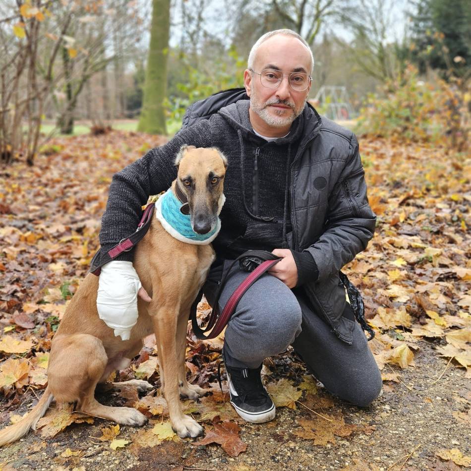 Mann und Hund von einem Akita angegriffen: „Ich habe mein Leben vor meinen Augen vorbeiziehen sehen“