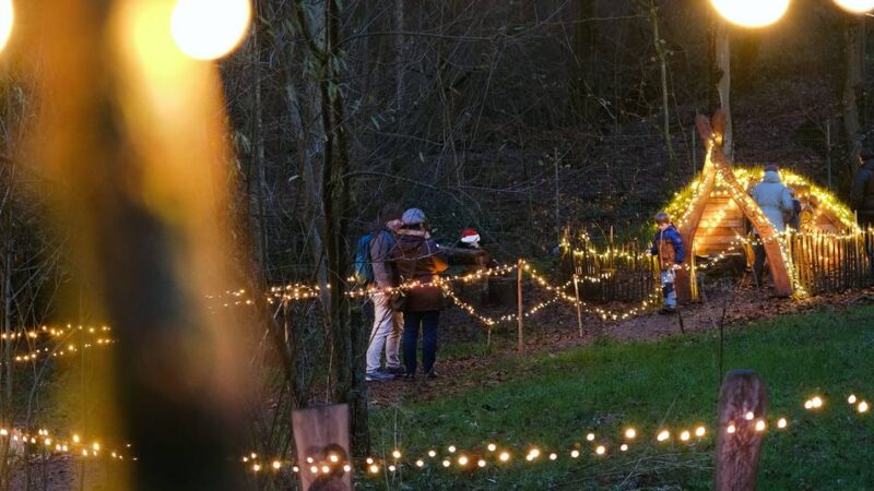 Weihnachtszauber in Heiligenhaus: Fackelwanderung mit dem Förster durch den Wald