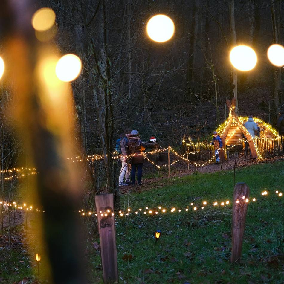 Weihnachtszauber in Heiligenhaus: Fackelwanderung mit dem Förster durch den Wald