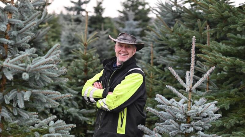 Weihnachtsbaum-Saison 2025 in Wermelskirchen: „Der Regen kam immer pünktlich“