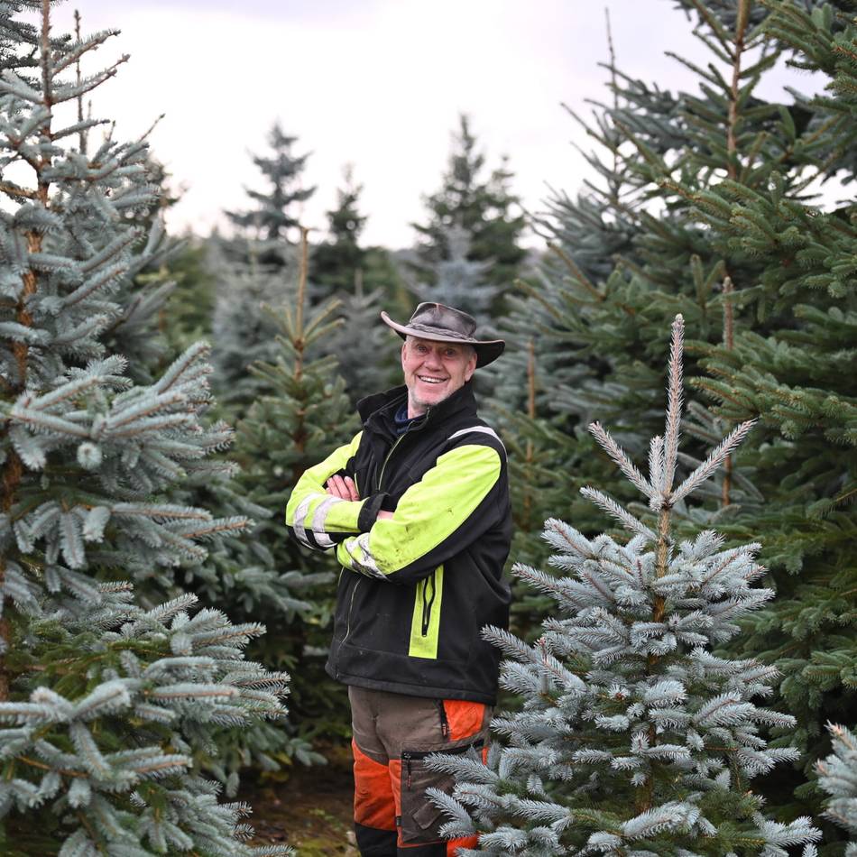 Weihnachtsbaum-Saison 2025 in Wermelskirchen: „Der Regen kam immer pünktlich“