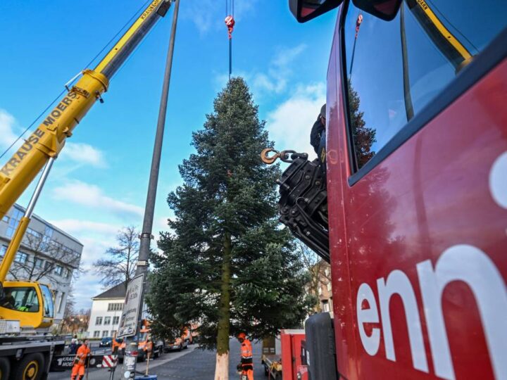 Weihnachtszeit in Moers: XXL-Bürgerbaum schmückt den Neumarkt