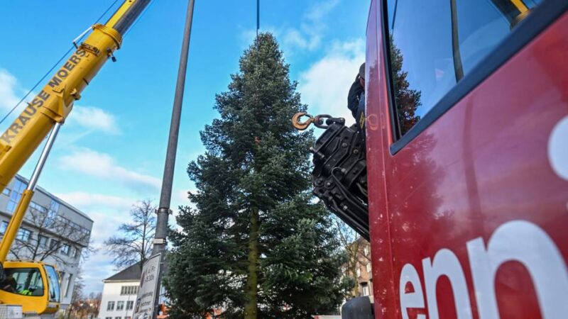 Weihnachtszeit in Moers: XXL-Bürgerbaum schmückt den Neumarkt