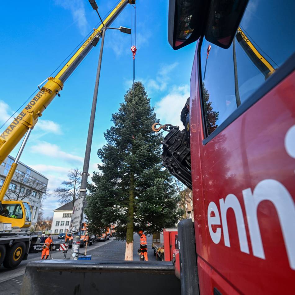 Weihnachtszeit in Moers: XXL-Bürgerbaum schmückt den Neumarkt