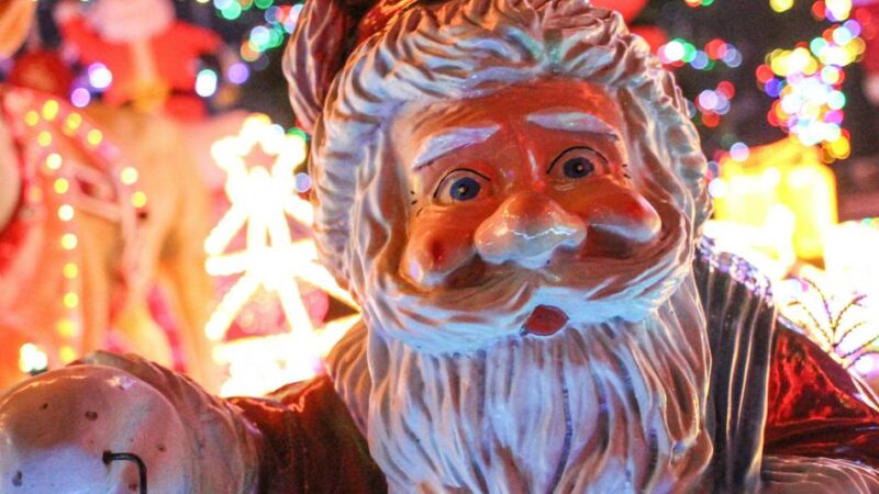 Adventskonzert in Krefeld: Besinnliche Stunde mit dem Collegium Musicum