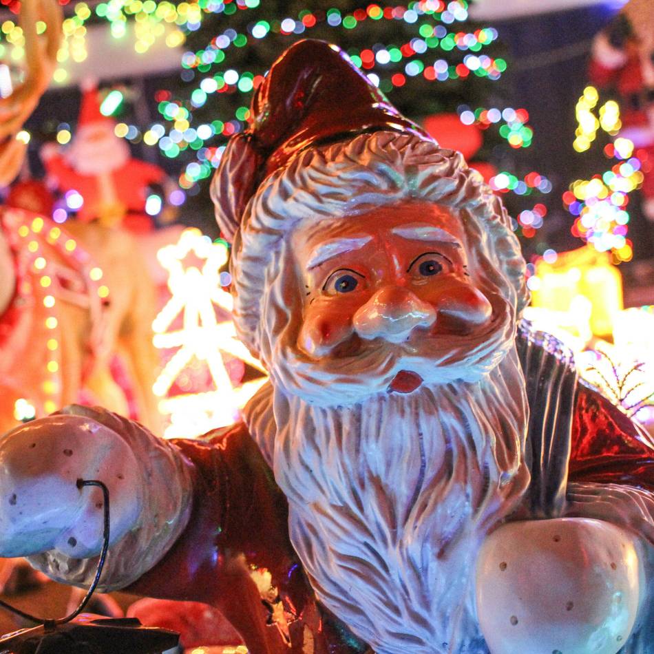 Adventskonzert in Krefeld: Besinnliche Stunde mit dem Collegium Musicum