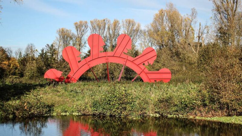 Natur in Grevenbroich: Spiel von Licht und Farben – der Goldene Herbst ist da!