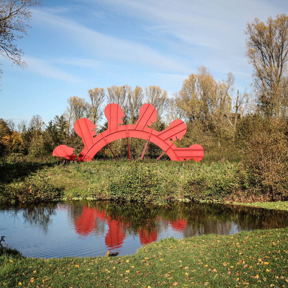 Natur in Grevenbroich: Spiel von Licht und Farben – der Goldene Herbst ist da!