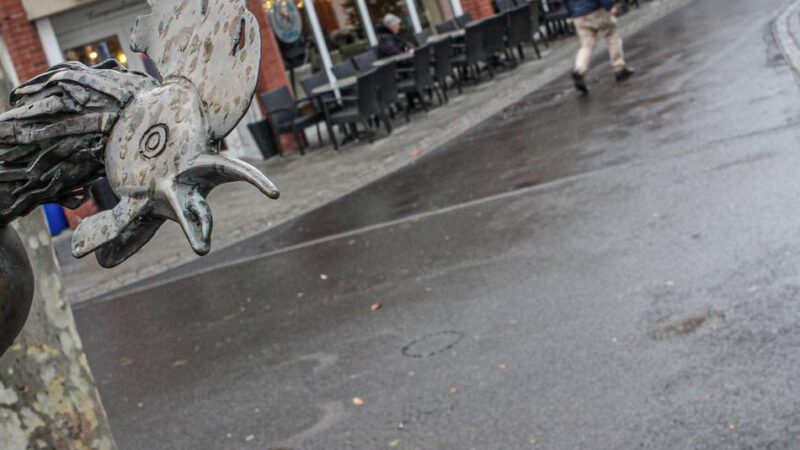 Tatort Marktplatz Grevenbroich: Wo sind Hund, Ziege, Schwein und Pferd? Diebe stehlen beliebte Tierfiguren