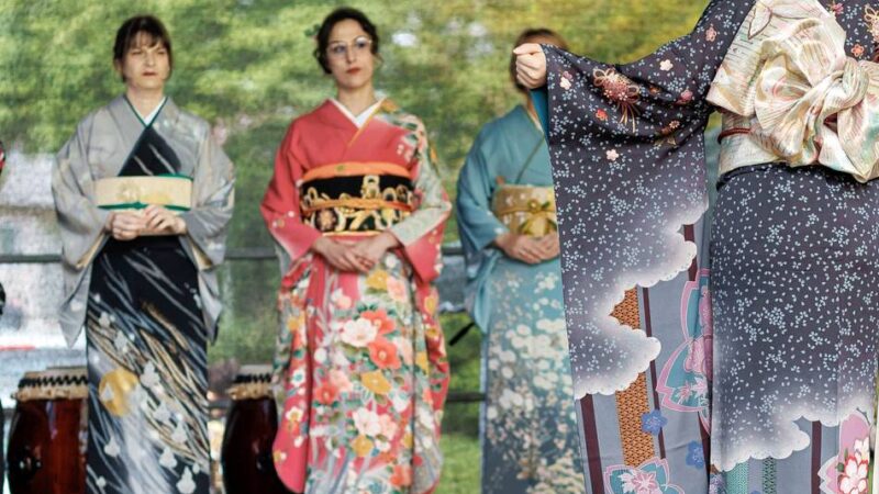 Japan-Tag in Meerbusch: Aussteller für das Kirschblütenfest gesucht