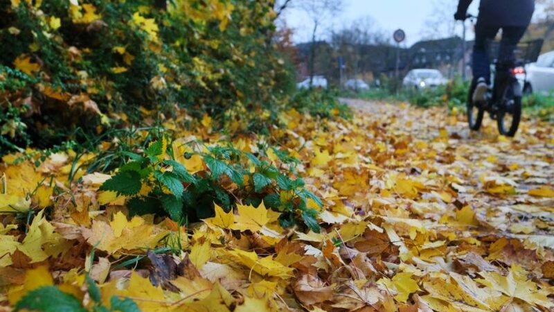 Auf Ratinger Straßen: So wird Laub zur Gefahr