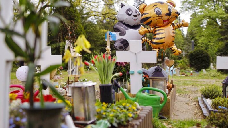 Vorschlag der Grünen in Leverkusen: Kennzeichnung für Haustiere im Grab?