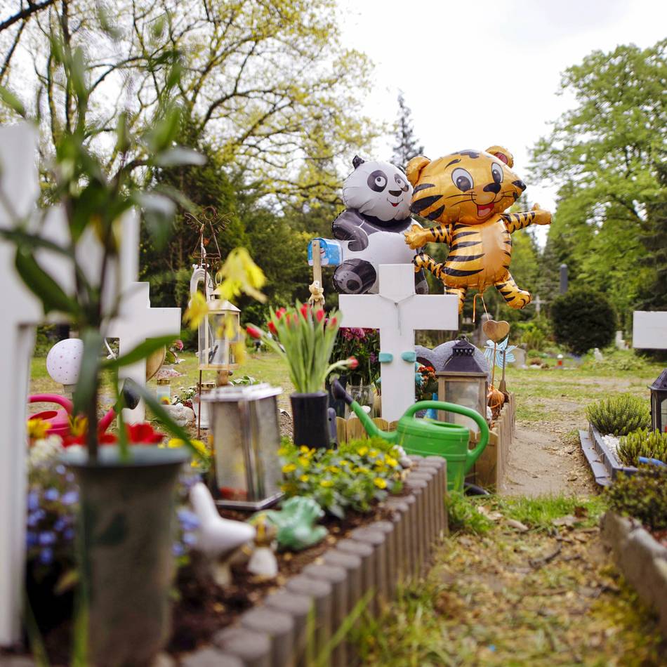 Vorschlag der Grünen in Leverkusen: Kennzeichnung für Haustiere im Grab?