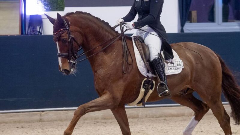 Kerkener Dressur-Event: Eine Europameisterin und die Schönheit des Reitsports
