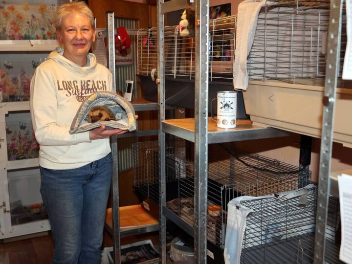 Hilfe für Tiere in Not: Igelhilfe sucht private Gärten als Lebensraum für Igel