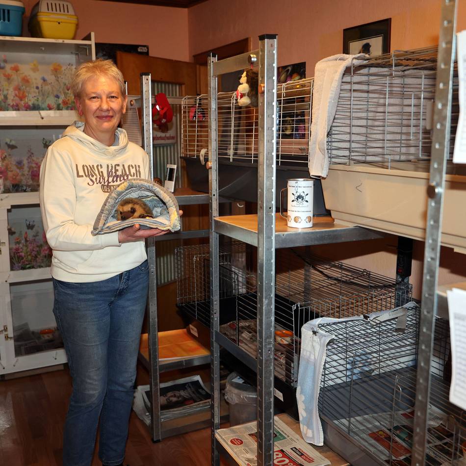 Hilfe für Tiere in Not: Igelhilfe sucht private Gärten als Lebensraum für Igel