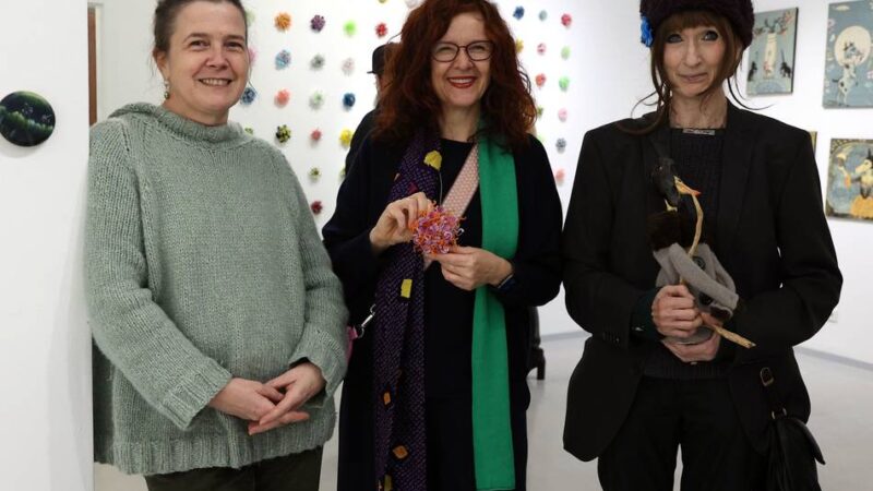 Kultur in Mönchengladbach: Wenn Kunst die kleinsten Halm-Härchen offenbart