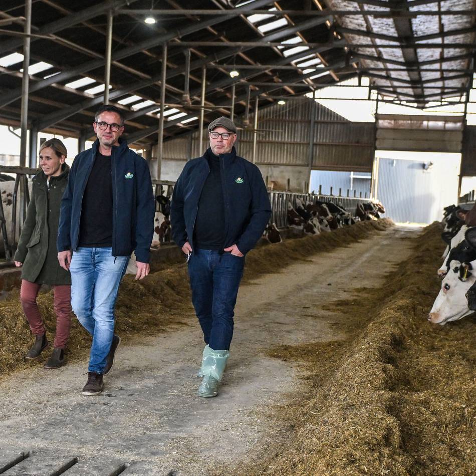 Pilot-Projekt in Issum: Wie Milch vom Niederrhein das Klima schont