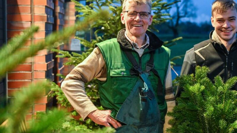 Weihnachten im Kreis Viersen: Hier gibt es Tannenbäume frisch vom Feld