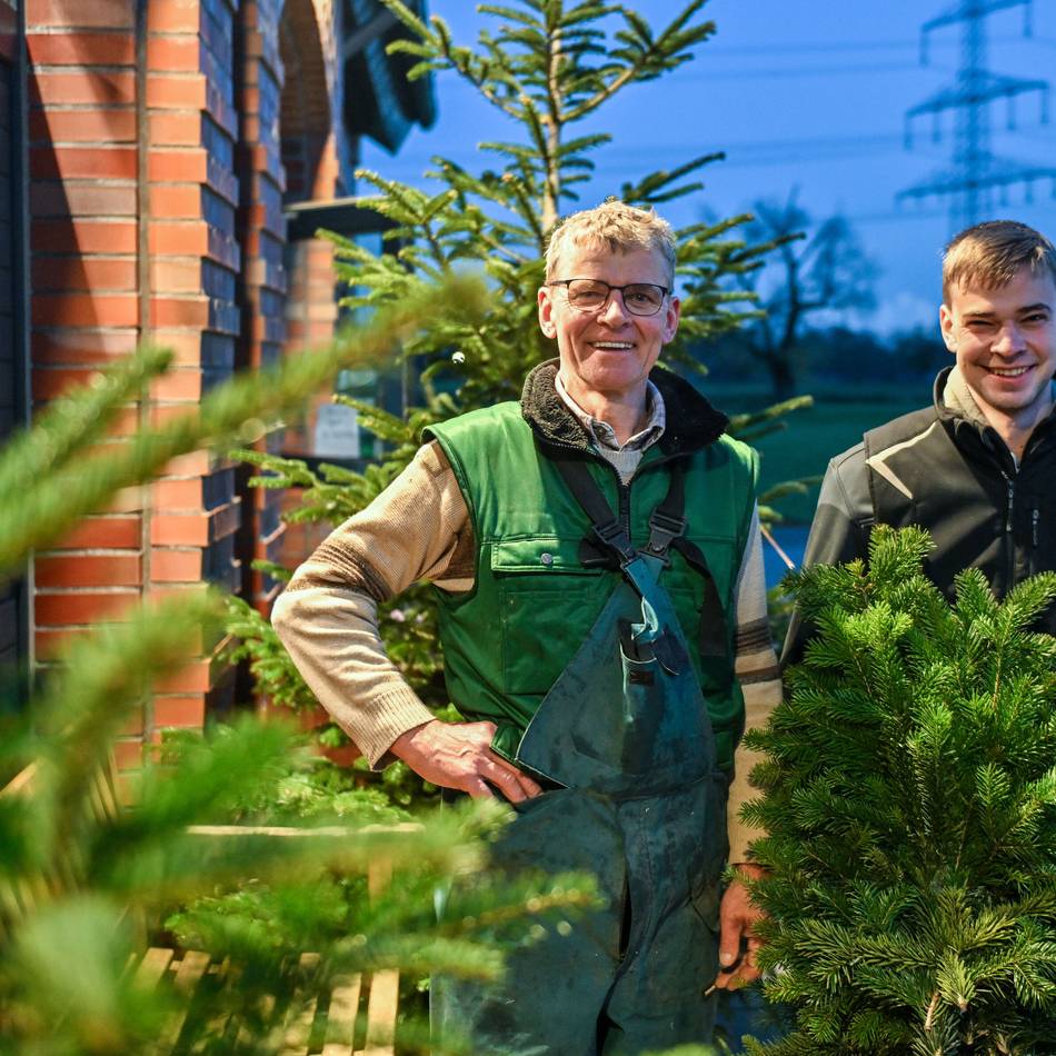 Weihnachten im Kreis Viersen: Hier gibt es Tannenbäume frisch vom Feld