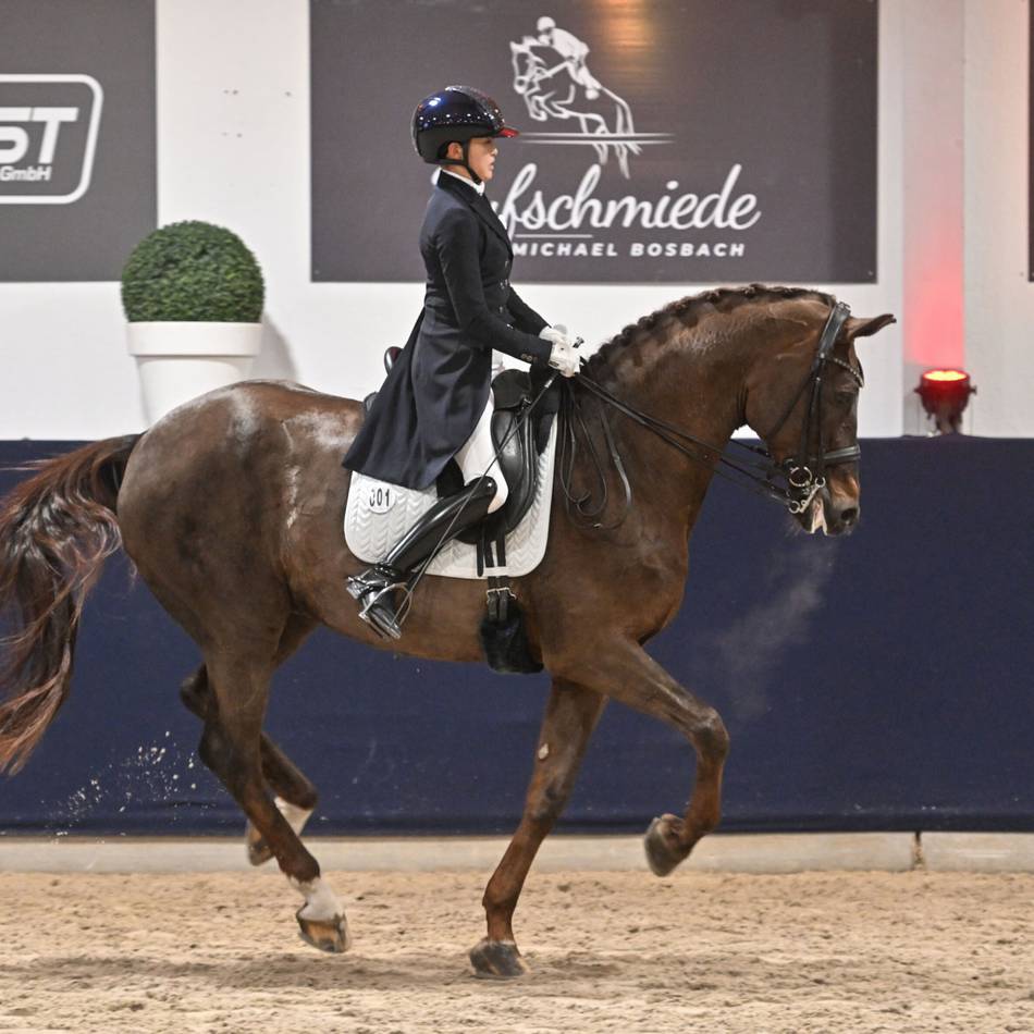 Kerkener Dressur-Event ein voller Erfolg: Große Bühne für Quintus und Gold für die Europameisterin