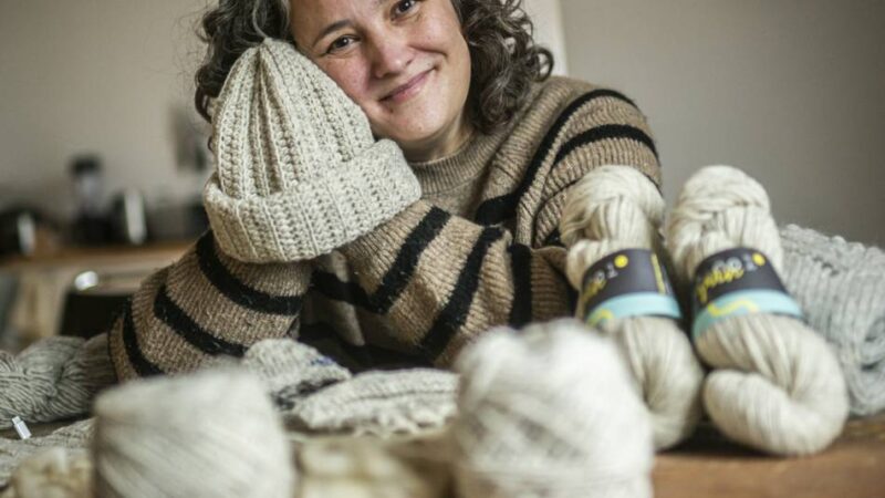 „Rh:ool yarn“ aus Düsseldorf: Start-up für Wolle von Rheinschafen gewinnt Zukunftspreis