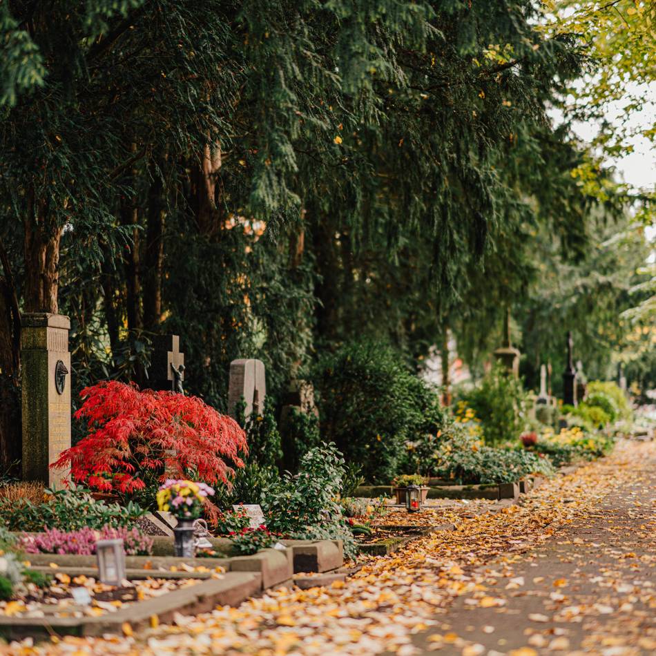 Rundgang über den Hauptfriedhof: Prominente Neusser und ihre Gräber