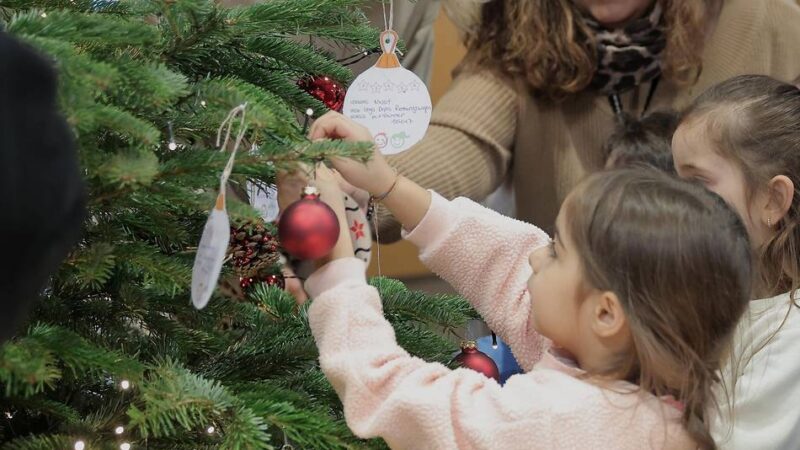 Weihnachtsvorfreude in Krefeld: Ein Baum voller toller Wünsche