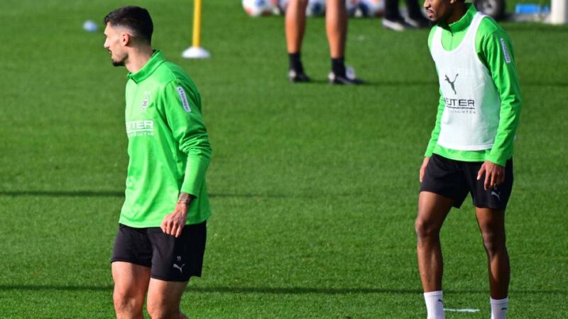 Hack, Kleindienst, Ngoumou bald zurück: Wie Polanski seine Kader-Politik in Gladbach moderiert