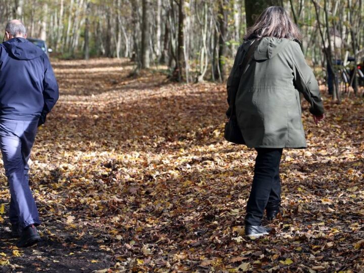 Wupperrunde zwischen Leichlingen und Opladen: Matsch und „See“ auf Wanderweg – Bauhof will reagieren